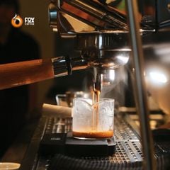 Cà Phê Đặc Sản Pha Máy Nuttie Fox Coffee | Special Espresso Blended