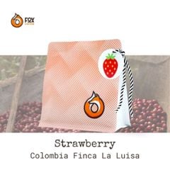 Cà Phê Đặc Sản Pha Pour-Over Strawberry Honey 150g Fox Coffee | Finca La Luisa Strawberry Honey