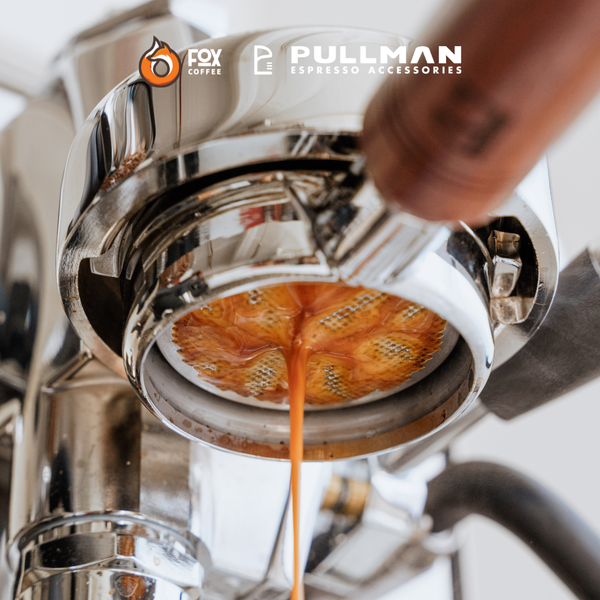 Giỏ, Rổ Lọc Cà Phê Espresso 876 PULLMAN | FILTRATION 876 COFFEE FILTER BASKET