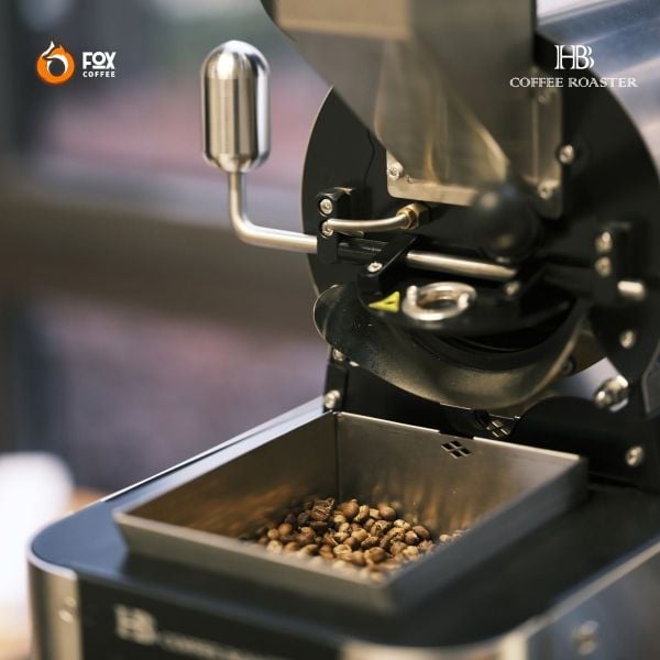 Máy rang cà phê M-Series | HB COFFEE ROASTER [Pre-order]