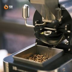 Máy rang cà phê M-Series | HB COFFEE ROASTER [Pre-order]