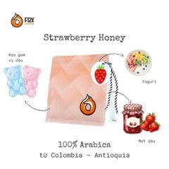 Cà Phê Đặc Sản Pha Pour-Over Strawberry Honey 150g Fox Coffee | Finca La Luisa Strawberry Honey