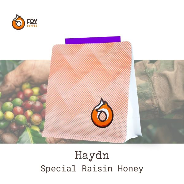 Cà Phê Đặc Sản Pha Pour-Over Canet Musician Series “Haydn” 150g | Fox Coffee Special Raisin Honey