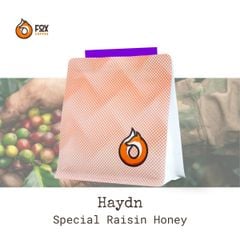 Cà Phê Đặc Sản Pha Pour-Over Canet Musician Series “Haydn” 150g | Fox Coffee Special Raisin Honey