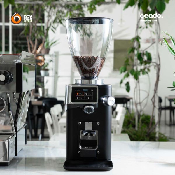 Máy Xay Cà Phê Cao Cấp REV Steel | CEADO Grinder
