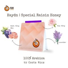 Cà Phê Đặc Sản Pha Pour-Over Canet Musician Series “Haydn” 150g | Fox Coffee Special Raisin Honey