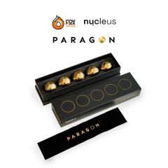 Bộ Đá Lạnh Vĩnh Cửu Chilling Rock Thay Thế Dành Cho Giá Đỡ Phễu Pha Cà Phê Paragon | Paragon Filter- Chilling Rocks 5-Pack - Nucleus Coffee Tools
