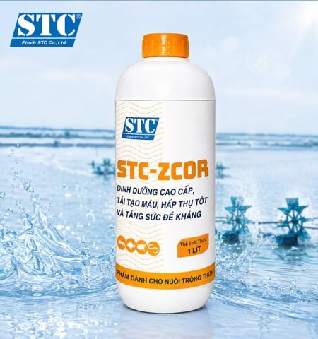 STC-ZCOR Dinh dưỡng cao cấp, Tái tạo máu, Hấp thụ tốt và tăng sức đề kháng