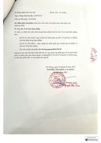  VIGOR PLANT BASED- True Nutrition 