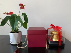 Trống Đồng Đông Sơn Dát Vàng Đường Kính 12Cm Cao 9Cm Chất Liệu Đồng Vàng