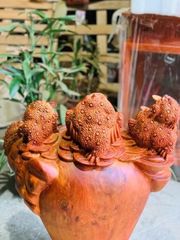 Tượng Cóc Thiềm Thừ Gỗ Hương Ta Cao 65cm, Ngang 52cm, Sâu 30cm