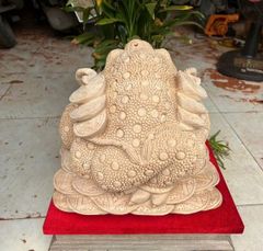 Tượng Cóc Thiềm Thừ Gỗ Ngọc Am Kích Thước Cao 32cm, Sâu 31cm, Ngang 38cm