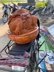 Tượng Cóc Thiềm Thừ Gỗ Hương Đá Kích Thước Cao 40cm, Đường Kính 45cm