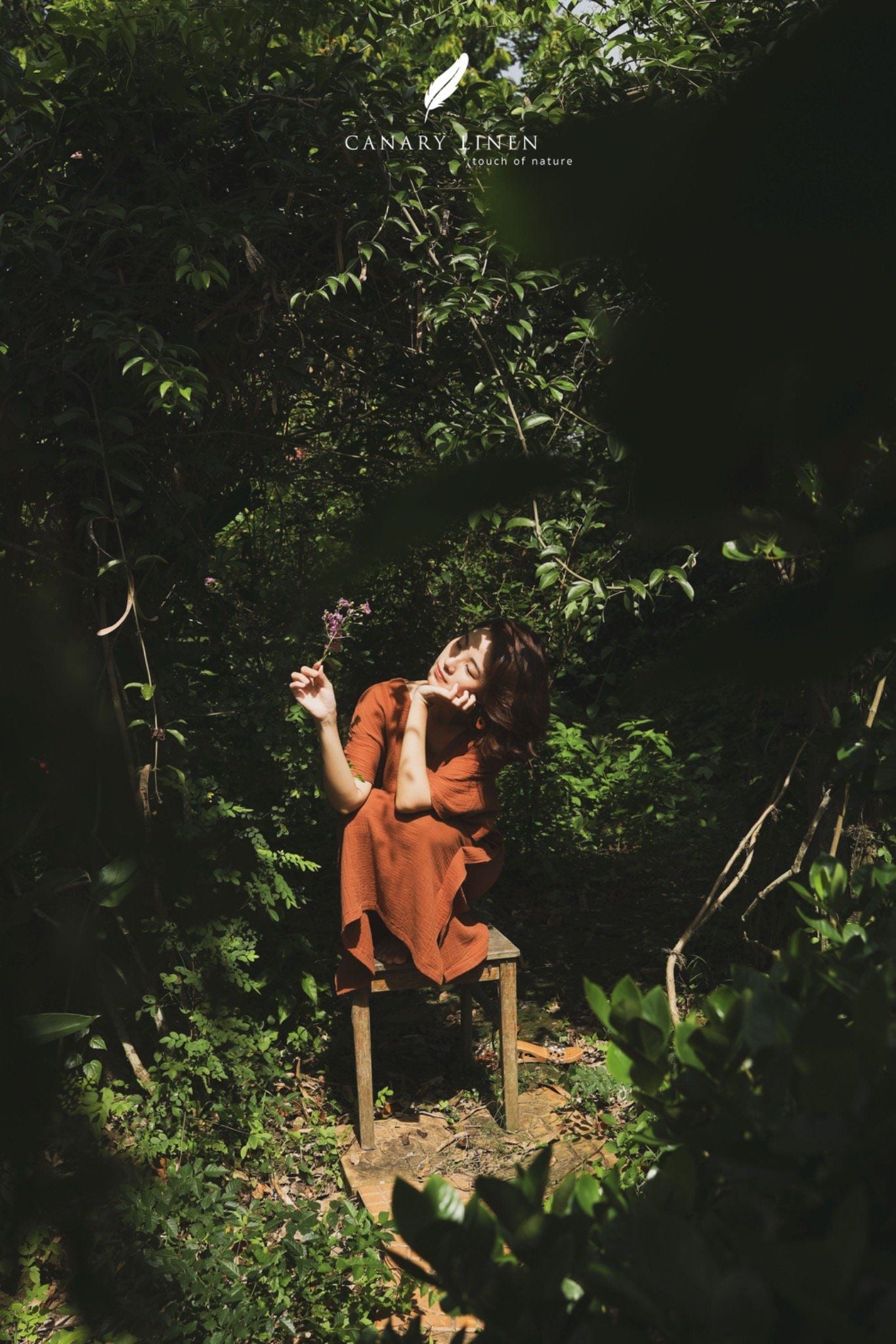  Celia Dress - Nâu cà phê 