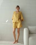  Mira Set - Vàng viền nâu cafe 