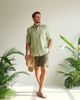  Pure Shorts - Xanh rêu 