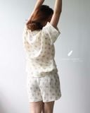  Mira Set - Hoa kem bông tím 