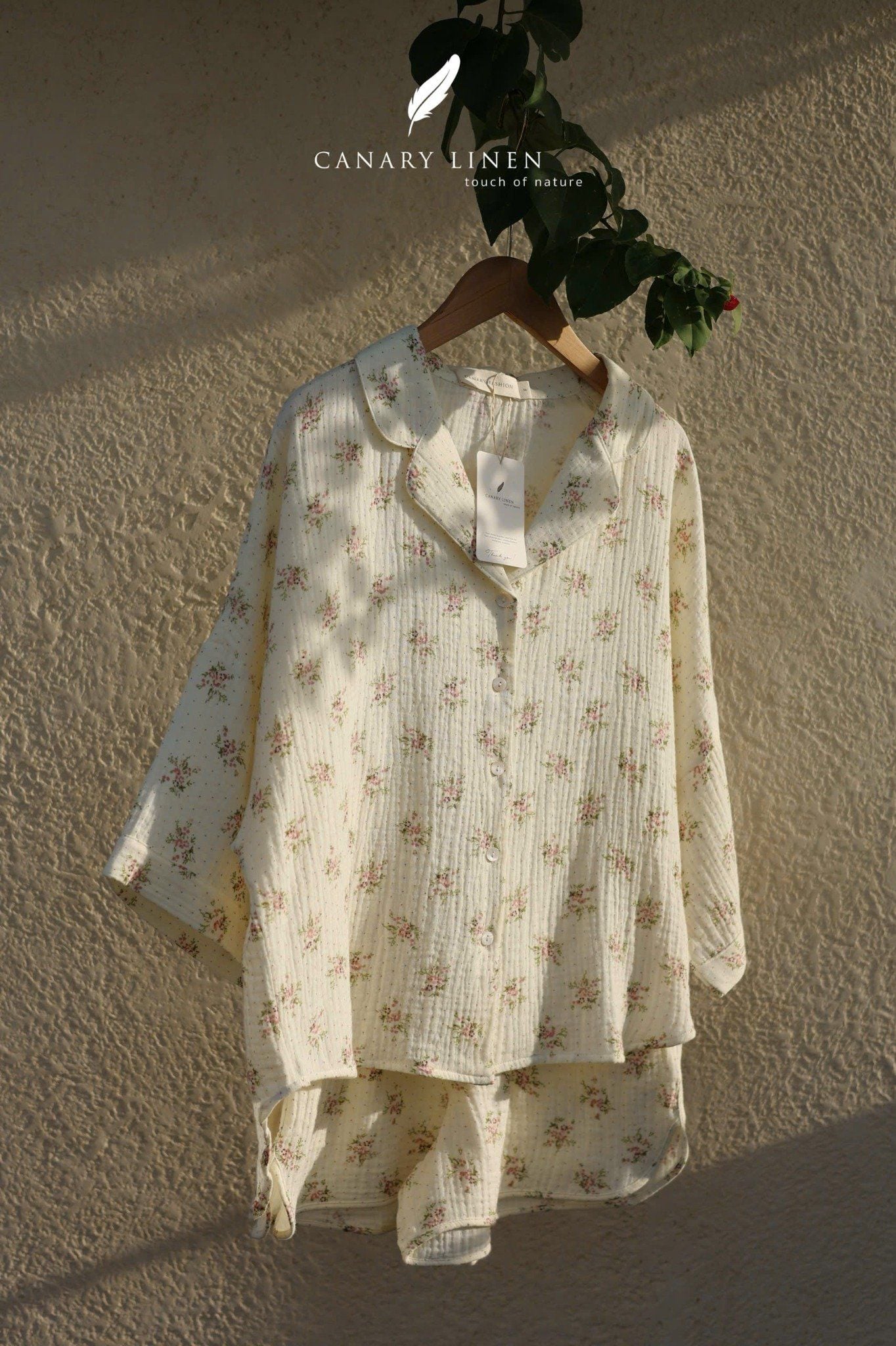  Mira Set - Hoa kem bông tím 