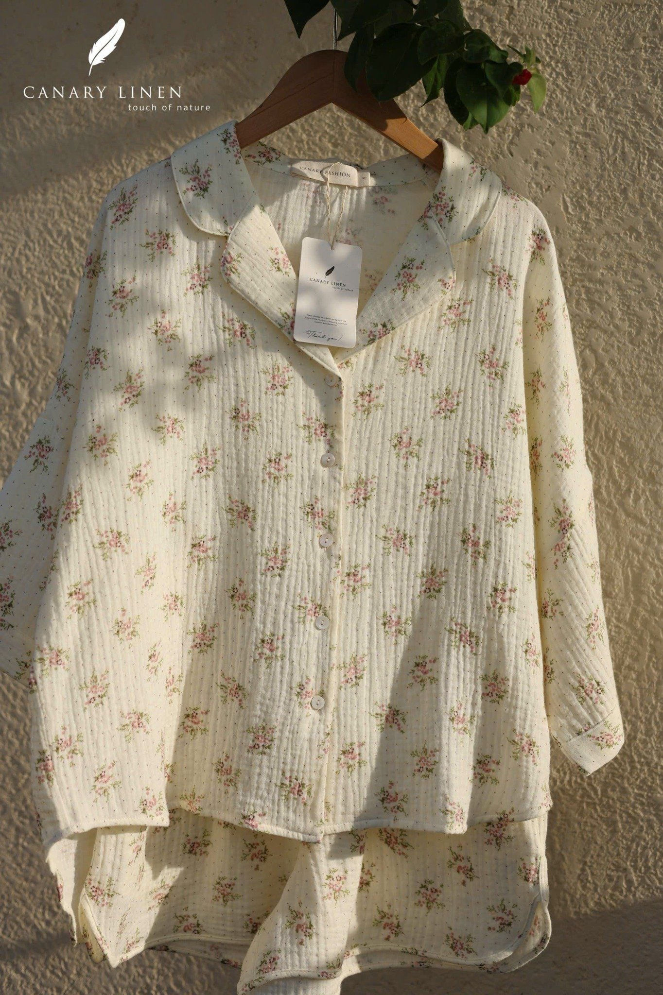  Mira Set - Hoa kem bông tím 