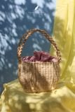  Coco Bag 