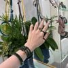  Bộ Trang Sức Thiết Kế Ngọc Bích Canada VIP - Độc Quyền Tại Katgems Không Kén Mệnh (GIÁ LIÊN HỆ) 
