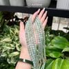  Chuỗi Vòng Cổ Ngọc Phỉ Thúy Hoa Bay Jade A Hạt 7.6ly (Không Kén Mệnh) 1-200004 