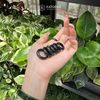  Nhẫn Ngọc Khối Phỉ Thúy Gà Đen từ 5.8li (Không Kén Mệnh) 
