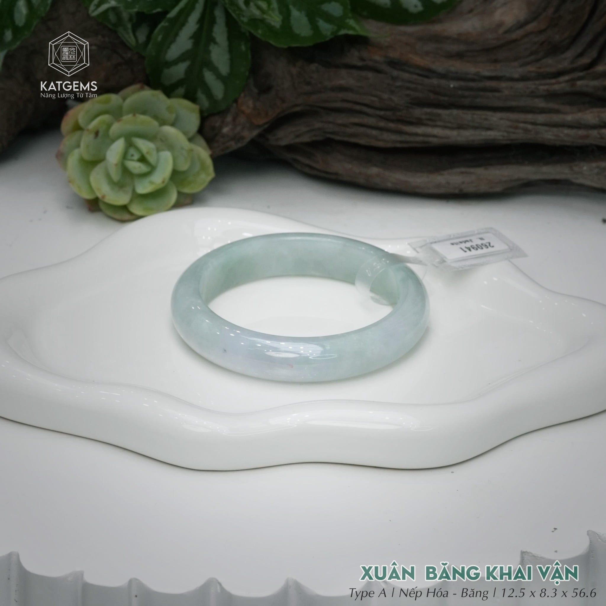  Vòng Khối Ngọc Phỉ Thúy Xuân Băng Khai Vận Cao Cấp Bản Hẹ KT: 12.5 x 8.3 x 56.6  (Không Kén Mệnh) 260941 