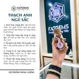  Vượng Khí Hồ Điệp Lan Mini Trắng Bọc Xanh 50cm x 13cm 