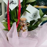  Vượng Khí Hồ Điệp Lan Mini Chớp Hồng Bọc Hồng 50cm x 13cm 