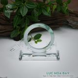  Vòng Khối Ngọc Phỉ Thúy Lục Hoa Bay Cao Cấp Bản Hẹ 12.5 x 9 x 55.6 (Không Kén Mệnh) 260175 
