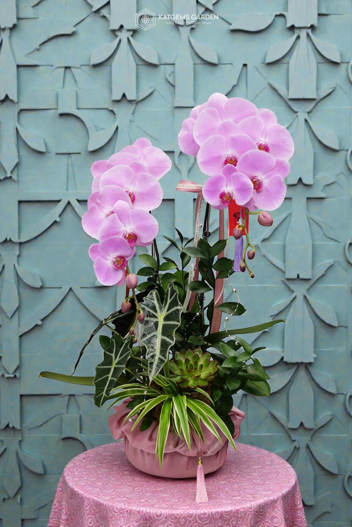  Phúc An Khang Hồ Điệp 