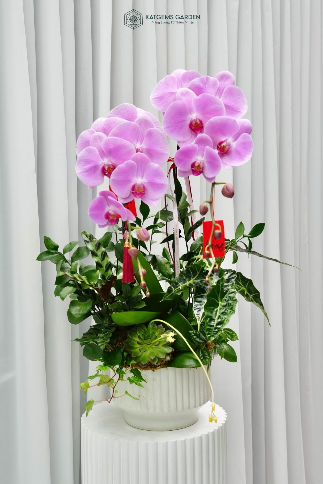  Song Lộc Hồ Điệp 