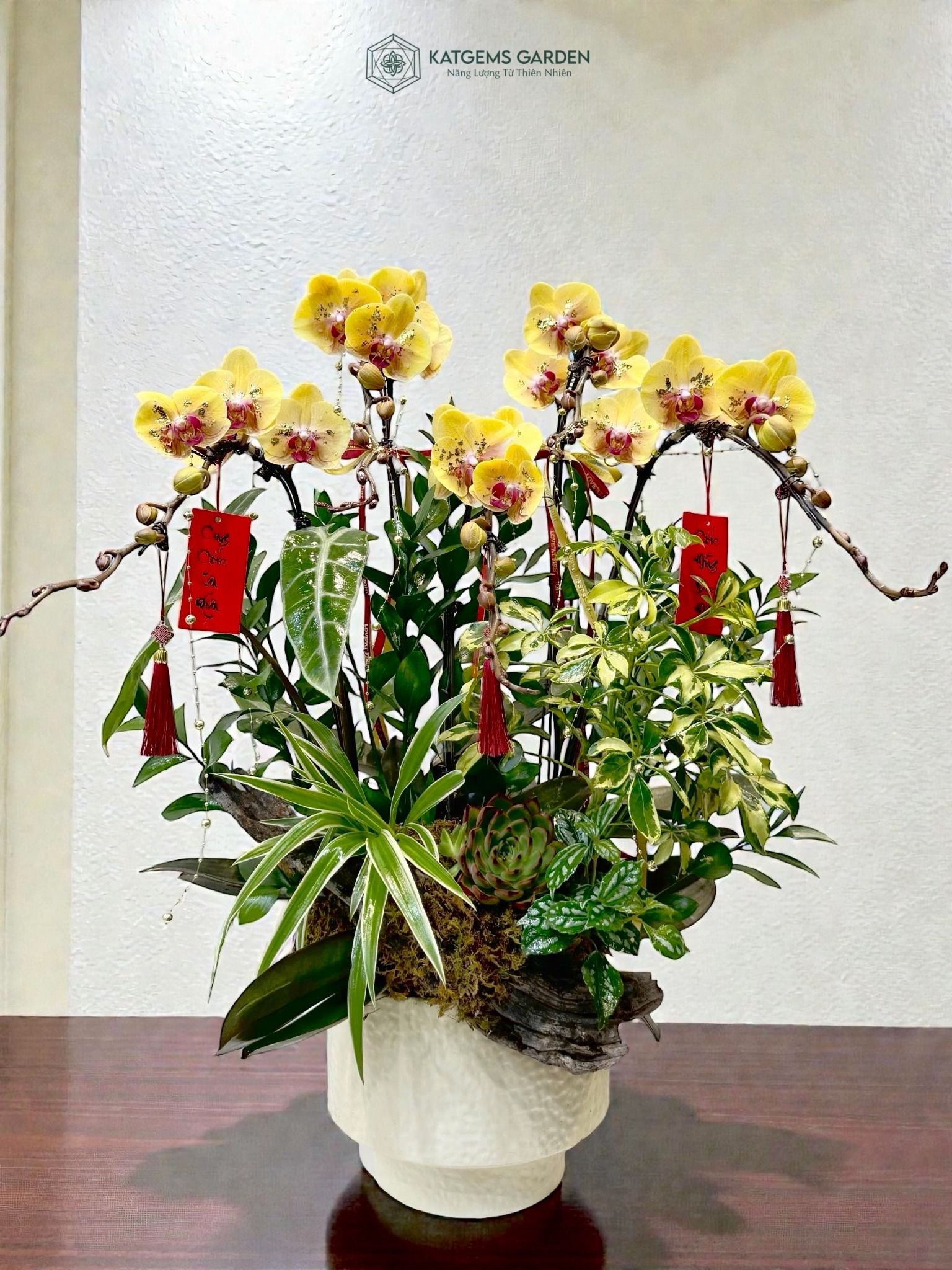  Phúc Khang Hồ Điệp 