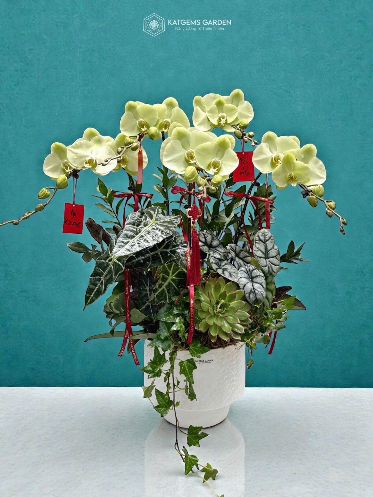  Bích Tâm Hồ Điệp 