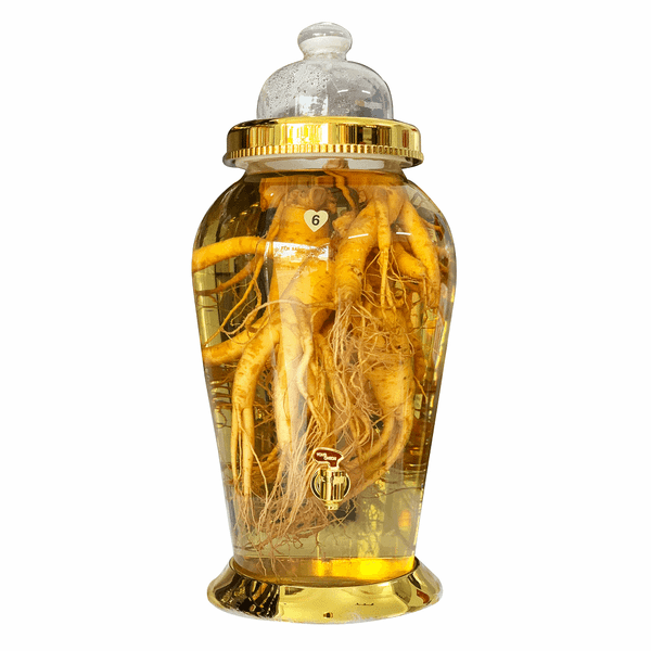 Bình Ngâm Sâm Hàn Quốc 6 Năm Tuổi 13 Lít 1kg Sâm Tươi