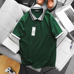 Áo thun polo phối cổ bo gân thời trang cỡ đại bigsize nam 85-125kg