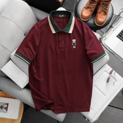 Áo thun polo phối cổ thêu gấu bigsize nam 85-145kg