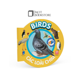 Bộ Từ điển bằng hình cho bé (Song ngữ Anh - Việt) - Bộ mới