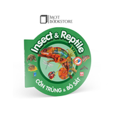 Bộ Từ điển bằng hình cho bé (Song ngữ Anh - Việt) - Bộ mới