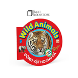 Bộ Từ điển bằng hình cho bé (Song ngữ Anh - Việt) - Bộ mới