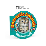 Bộ Từ điển bằng hình cho bé (Song ngữ Anh - Việt) - Bộ mới