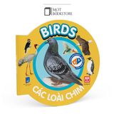 Bộ Từ điển bằng hình cho bé (Song ngữ Anh - Việt) - Bộ mới