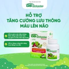 TPBVSK GS Ginkgolap - hỗ trợ tăng cường lưu thông máu lên não