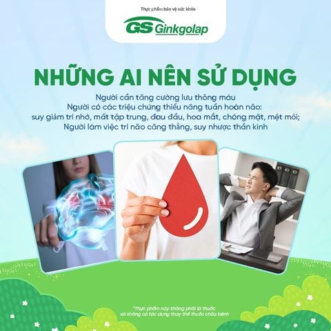 TPBVSK GS Ginkgolap - hỗ trợ tăng cường lưu thông máu lên não