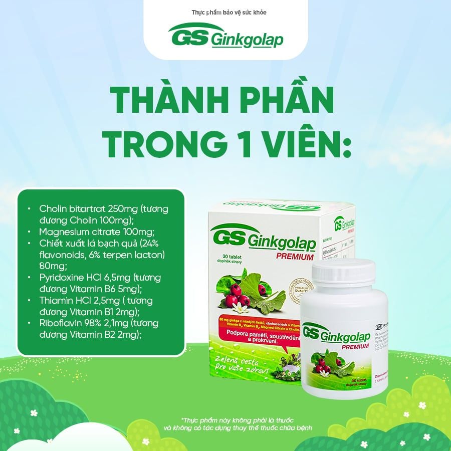 TPBVSK GS Ginkgolap - hỗ trợ tăng cường lưu thông máu lên não