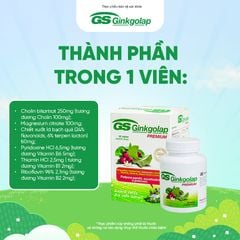TPBVSK GS Ginkgolap - hỗ trợ tăng cường lưu thông máu lên não