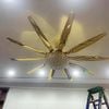  Quạt trần 10 cánh động cơ DC QT-201 (vàng) 