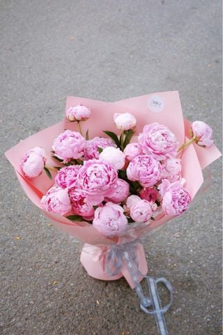  SARAH PEONY 