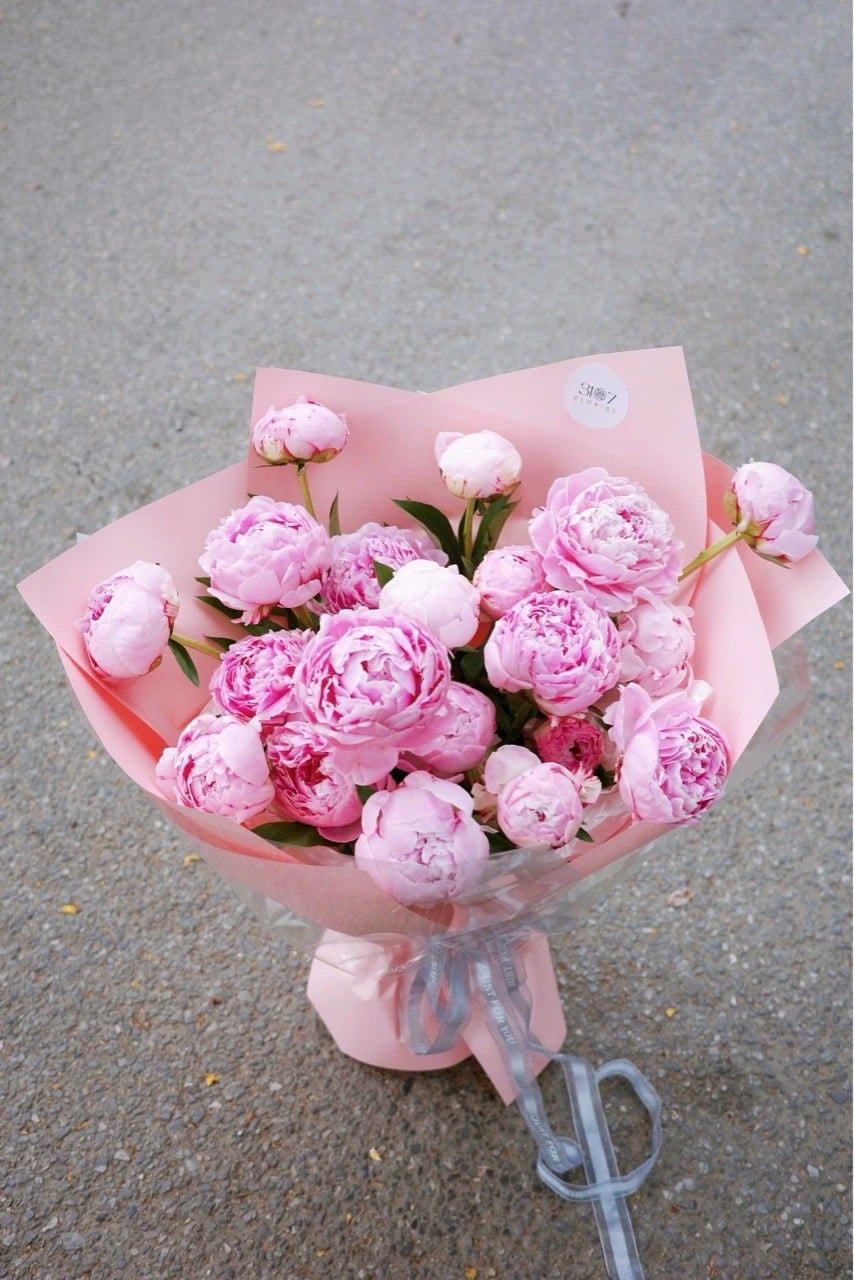 SARAH PEONY